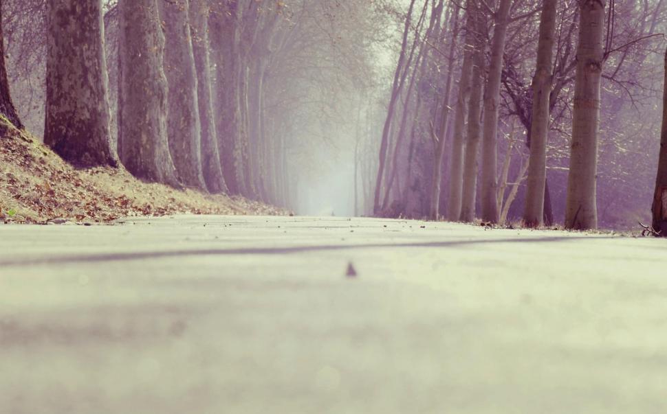 Free Image of Snowy Forest Road 