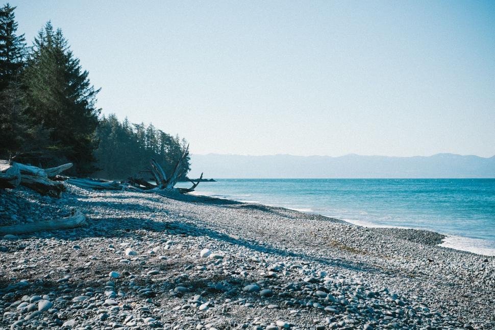 Free Image of Scenic View of Beach, Trees, and Water 