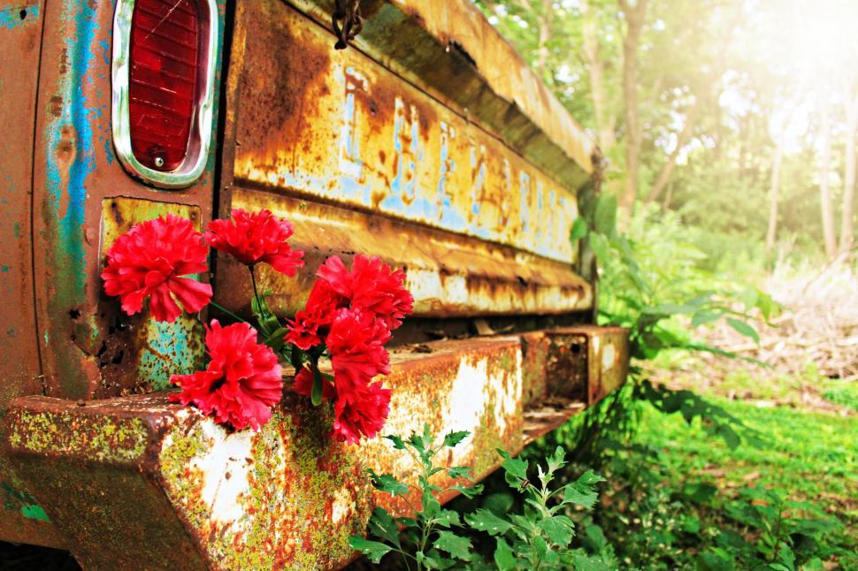 Free Image of Rusted Truck With Red Flowers 