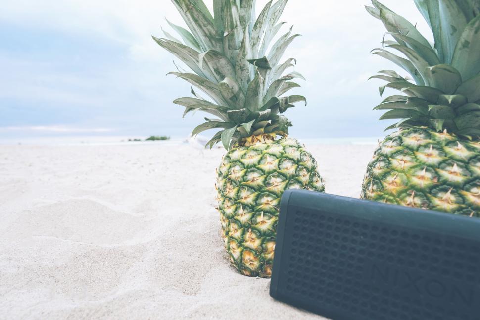 Free Image of Two Pineapples on Sandy Beach 
