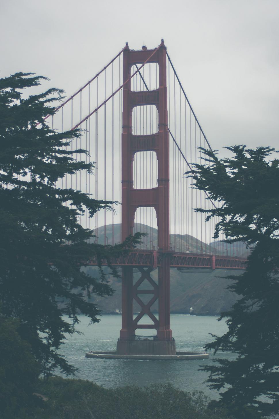 Free Image of A Glimpse of the Golden Gate Bridge Through Trees 