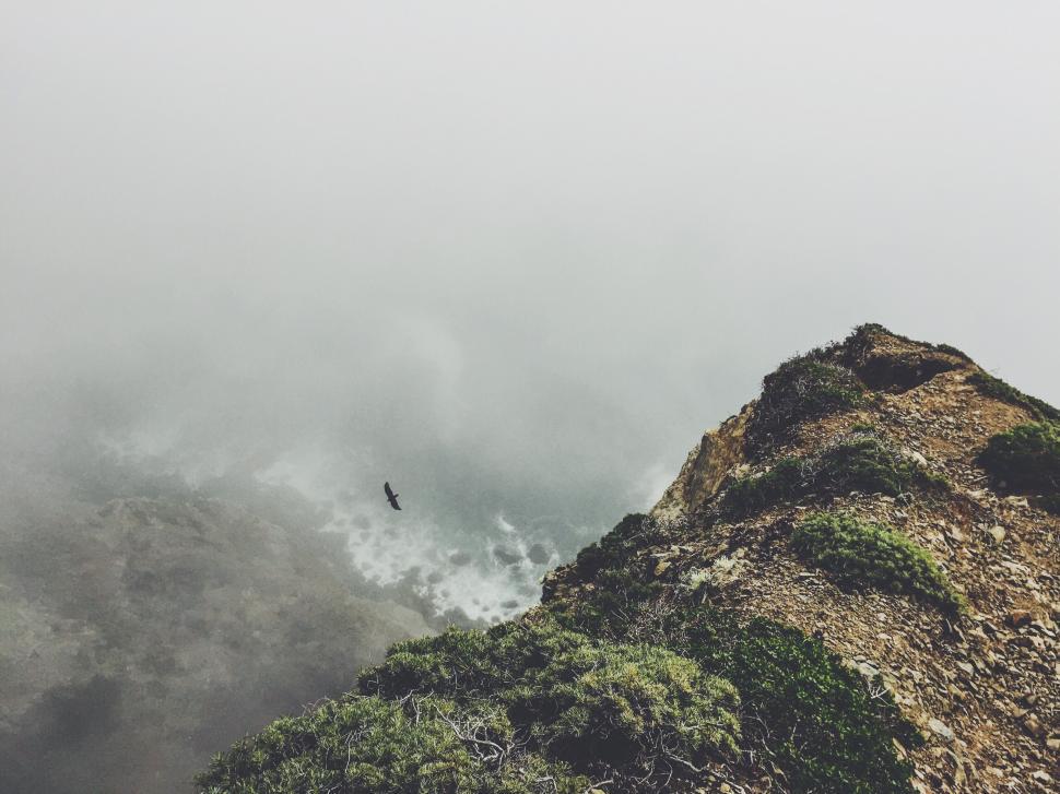 Free Image of Bird Soaring Above Rocky Cliff in Fog 