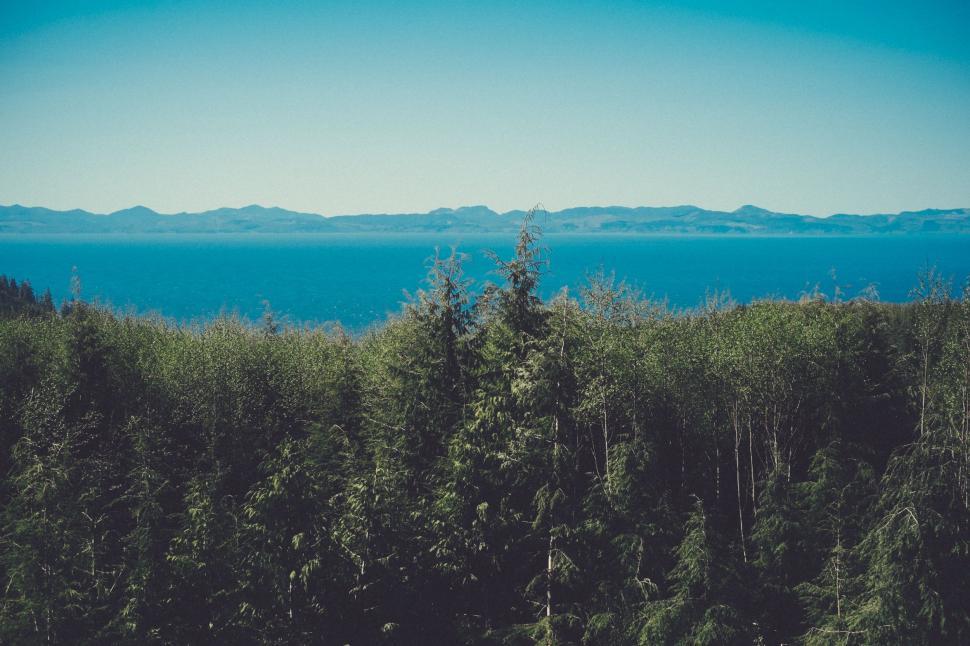 Free Image of Scenic Ocean View From Wooded Area 