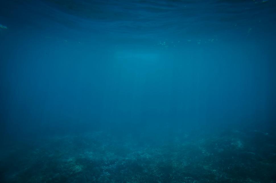 Free Image of Underwater View of a Deep Blue Ocean 