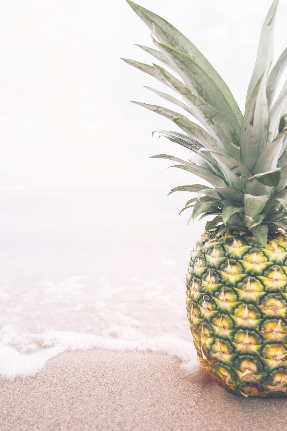 Free Image of Pineapple on Sandy Beach 