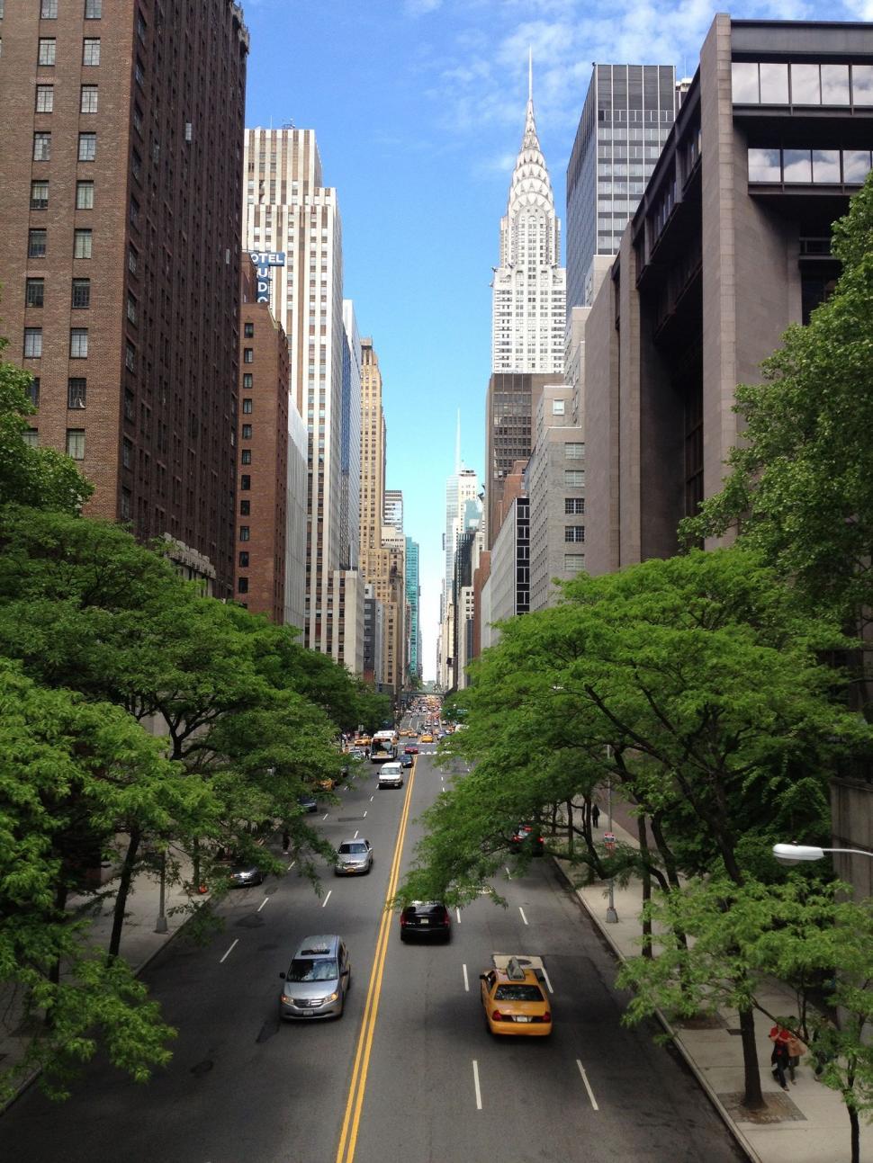 Free Image of Urban Street With Tall Buildings and Trees 