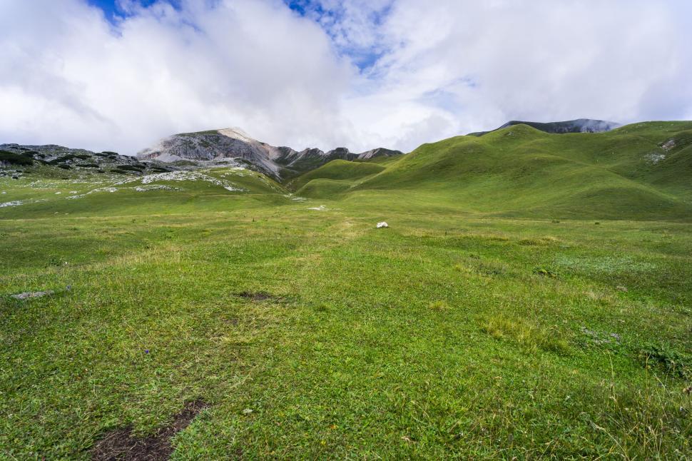 Free Image of Grassy Field With Mountains in Background 