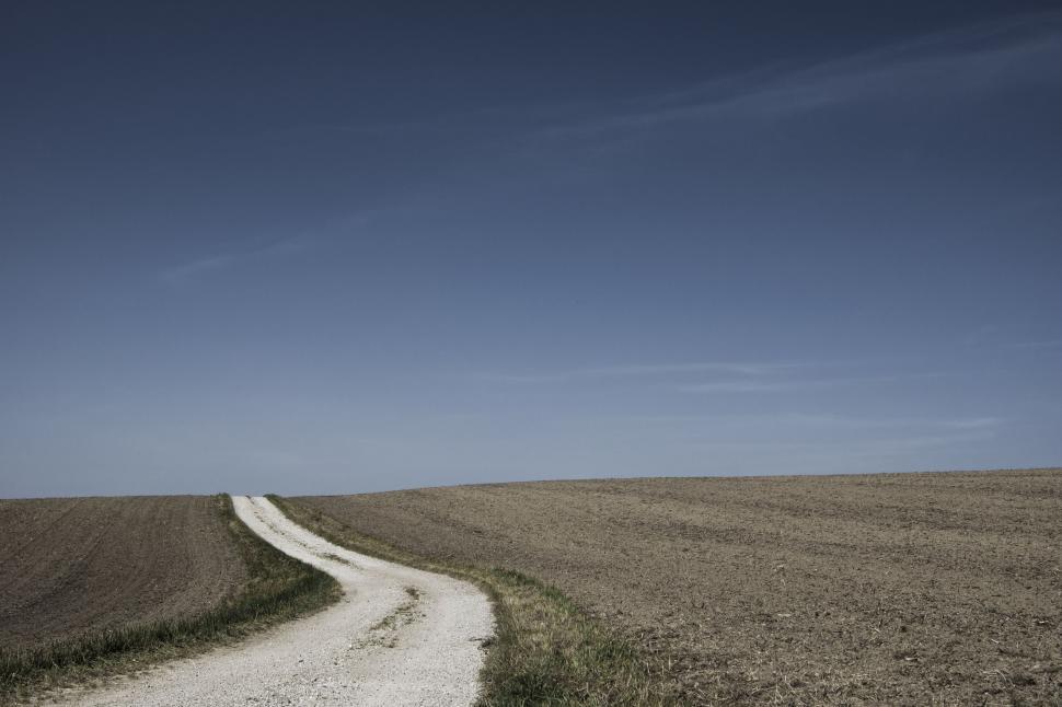 Free Image of Dirt Road Cutting Through Field 