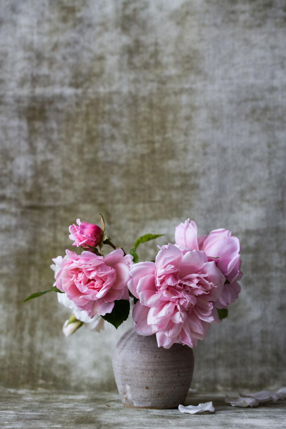 Free Image of Pink Flowers in Vase on Table 