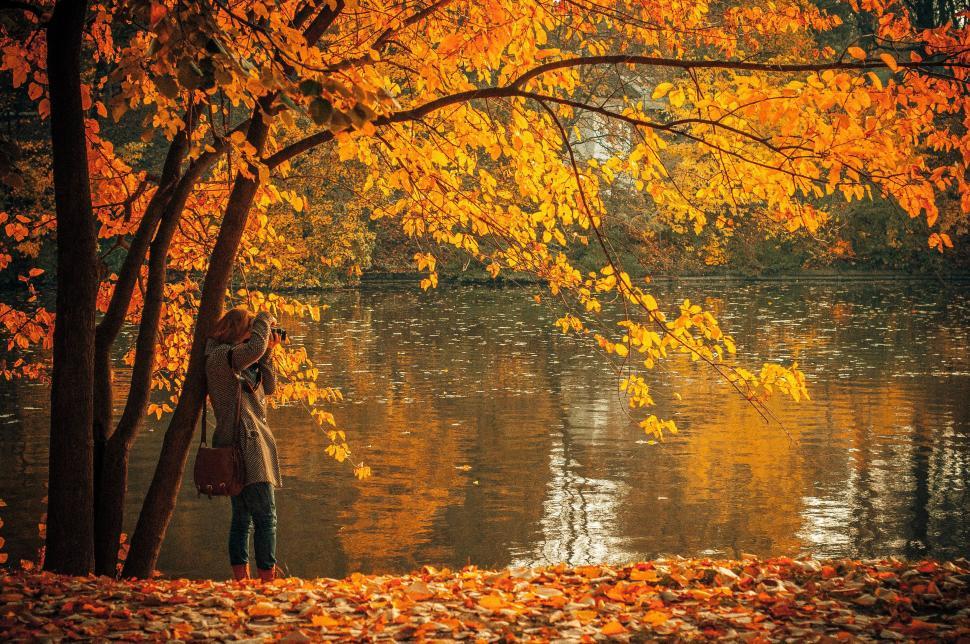 Free Image of Woman Standing in Front of Tree Filled With Leaves 