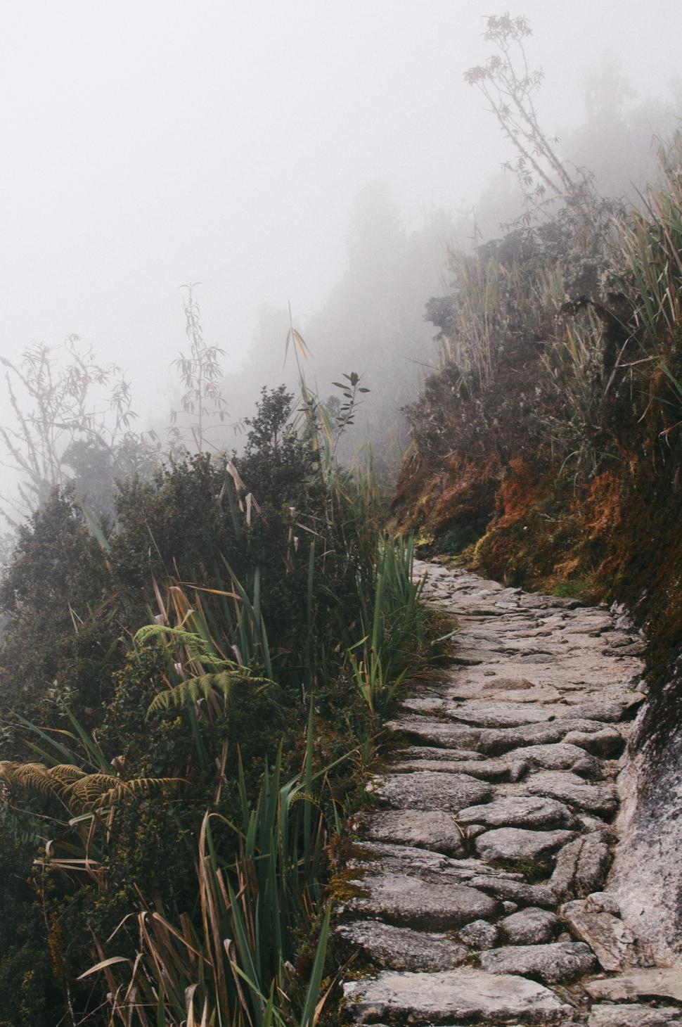 Free Image of Stone Path Amidst Foggy Mountain 