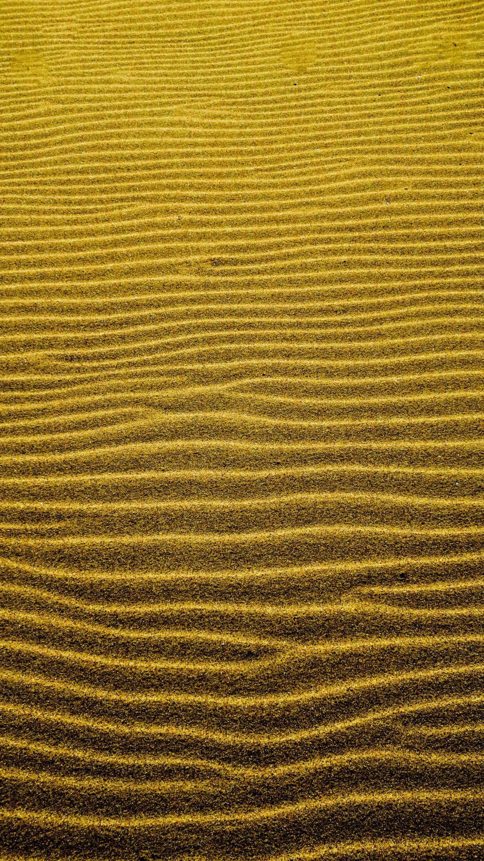 Free Image of Rippled Yellow Sand Dune 