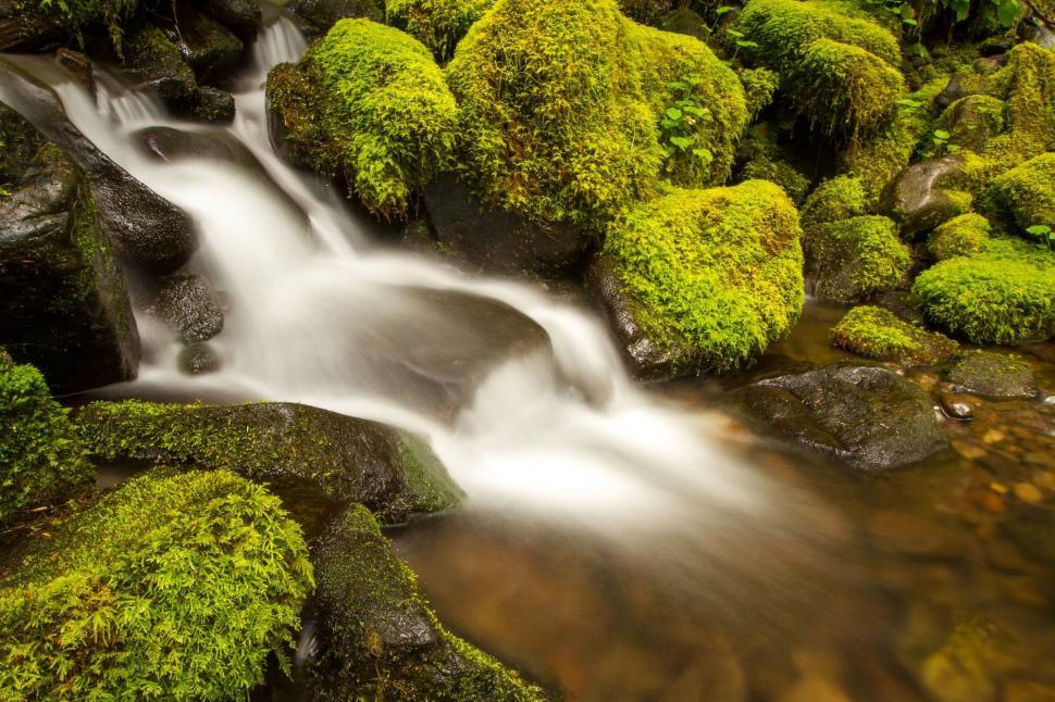 Free Image of Flowing Stream Surrounded by Moss Covered Rocks 
