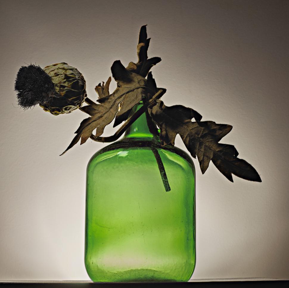 Free Image of Green Vase With Dead Flower 