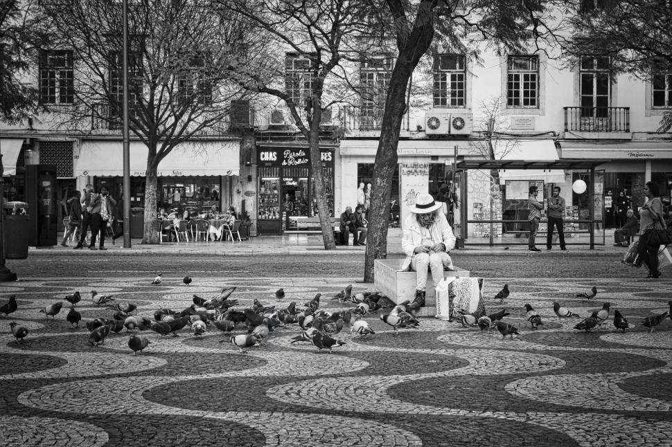 Free Image of Man Sitting on a Bench Surrounded by Pigeons 