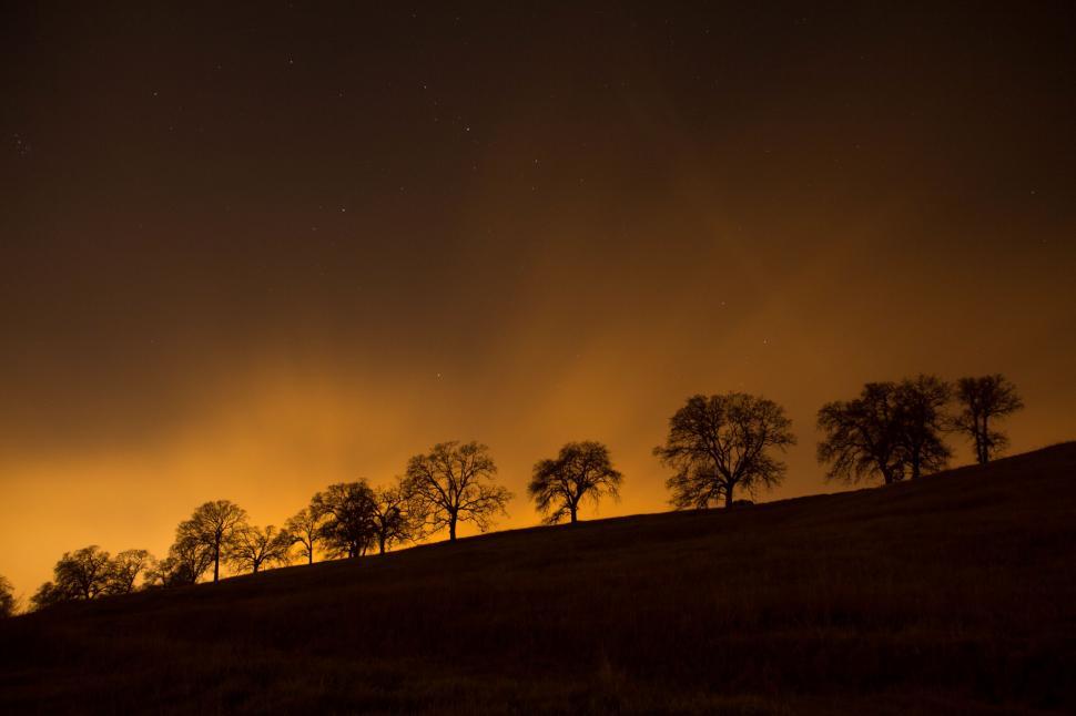 Free Image of Group of Trees on Hill at Night 