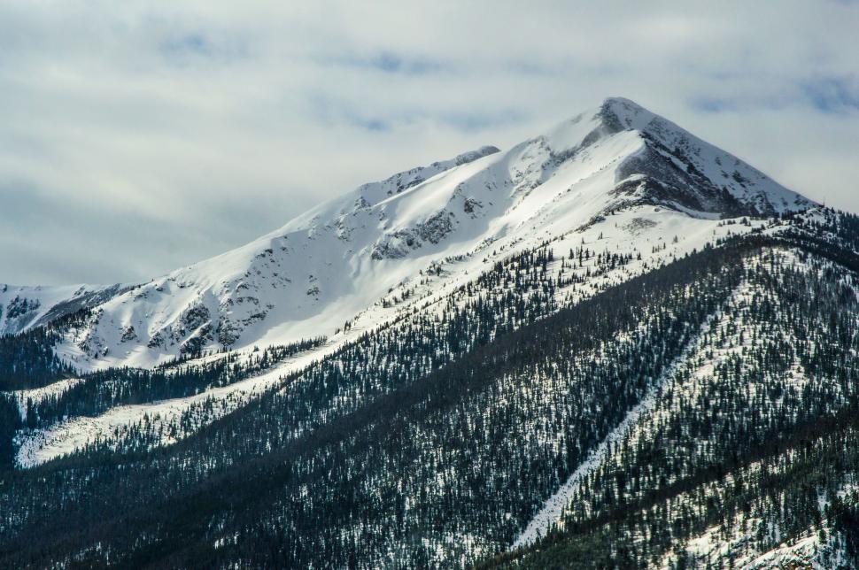Free Image of Snow-Covered Mountain Surrounded by Trees 