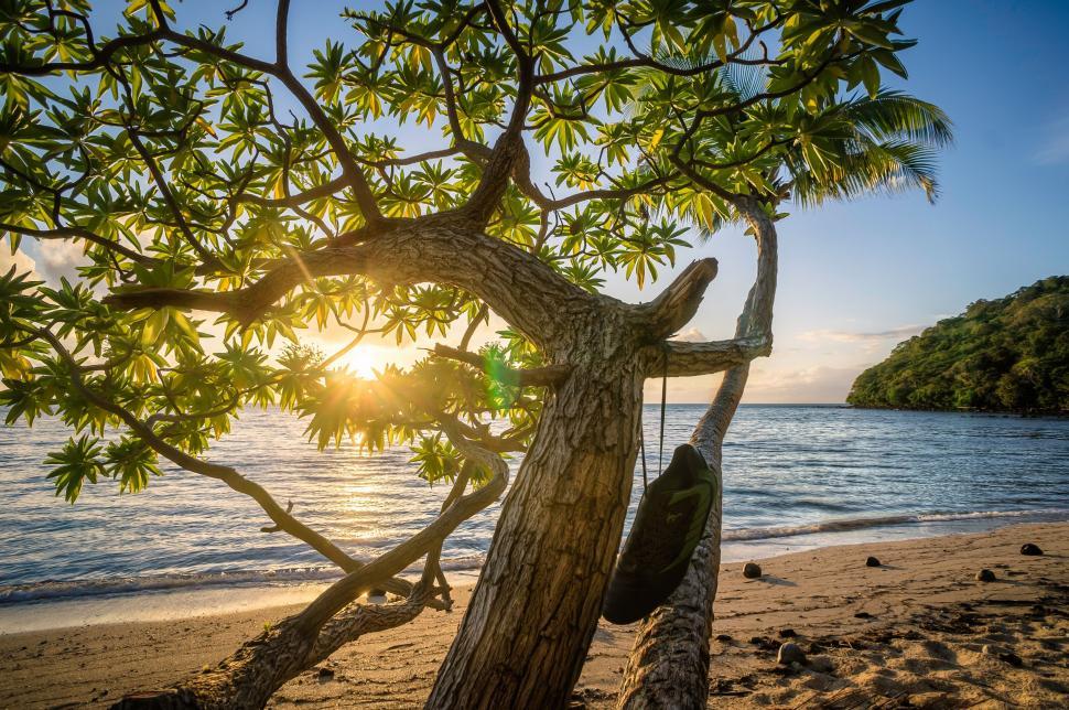 Free Image of Hammock Hanging From Tree on Beach 