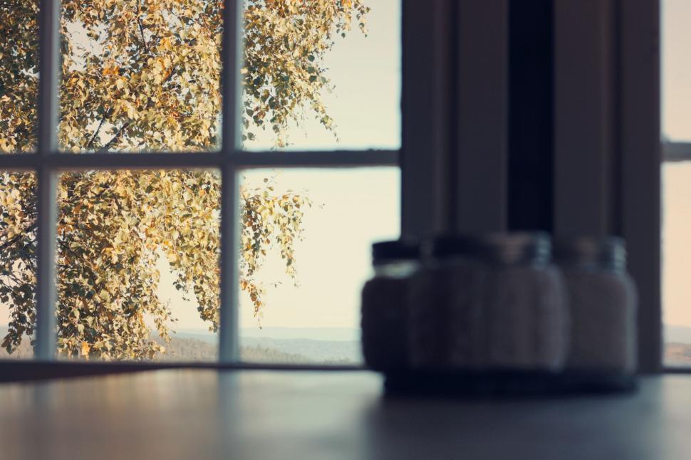 Free Image of Window Showing Tree Outdoors 