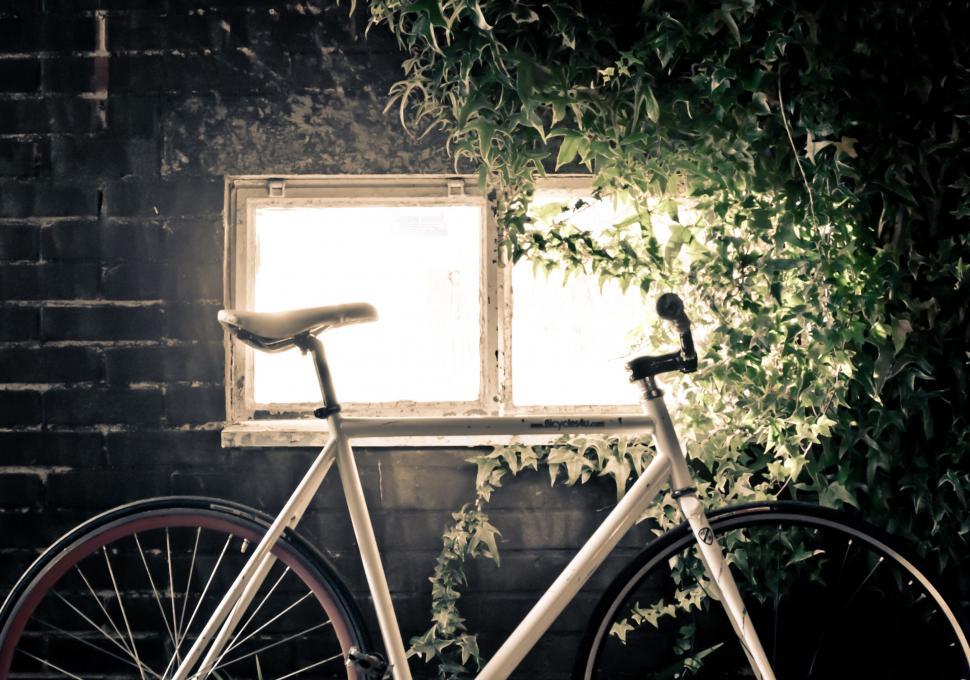 Free Image of Bicycle Parked in Front of Window 