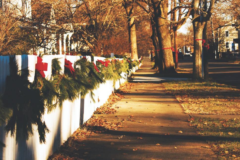 Free Image of Row of Christmas Garlands Hanging on a Fence 