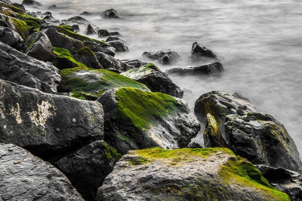 Free Image of Moss-Covered Rocks on the Shore 