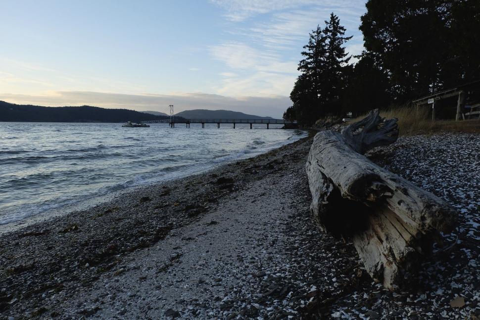 Free Image of Large Log on Beach by Water 