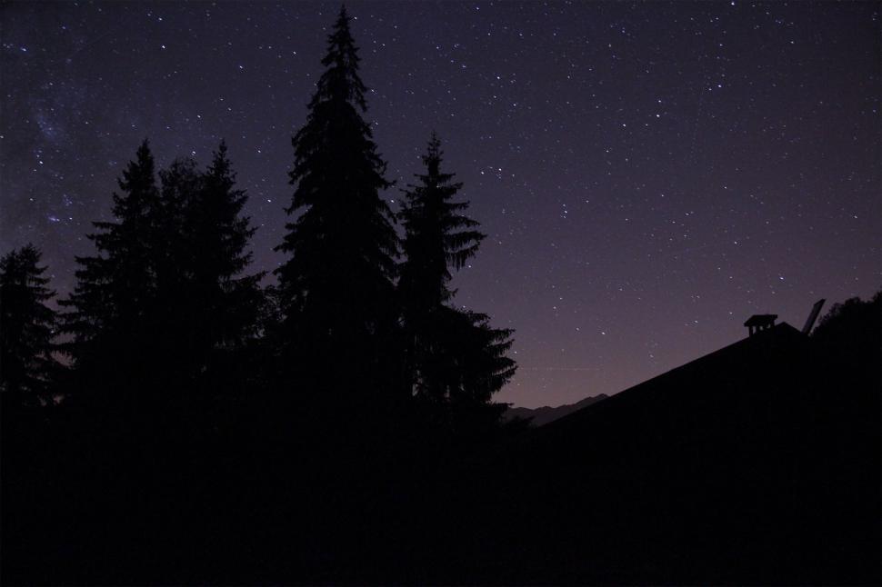 Free Image of Starry Night Sky With Trees 
