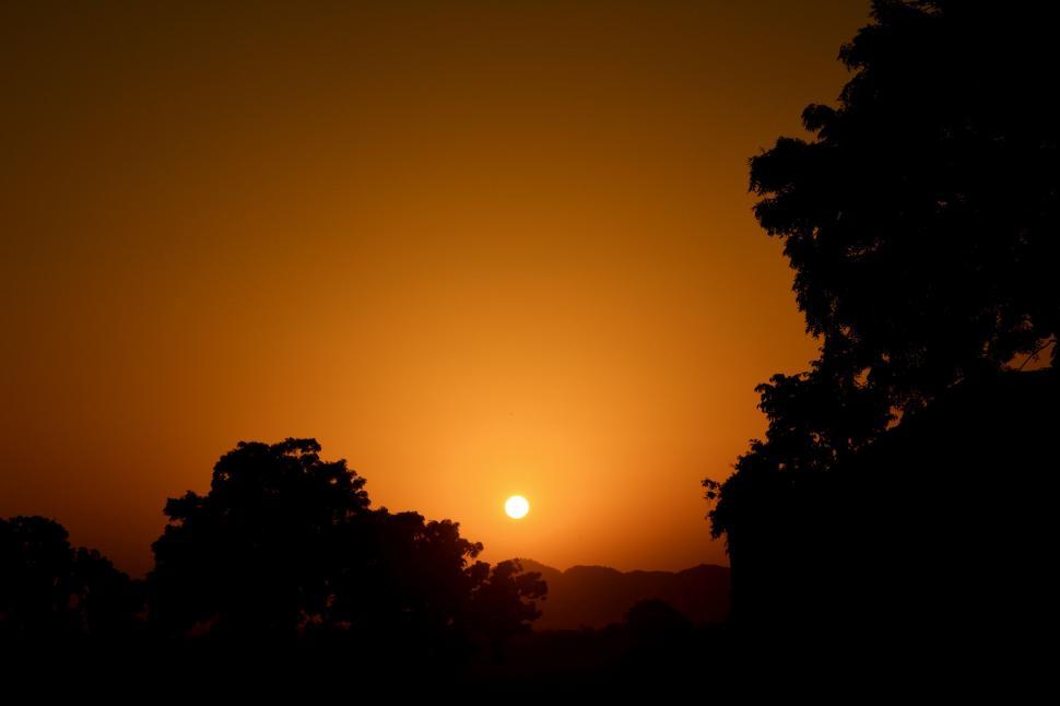 Free Image of The Sun Sets Over the Trees 
