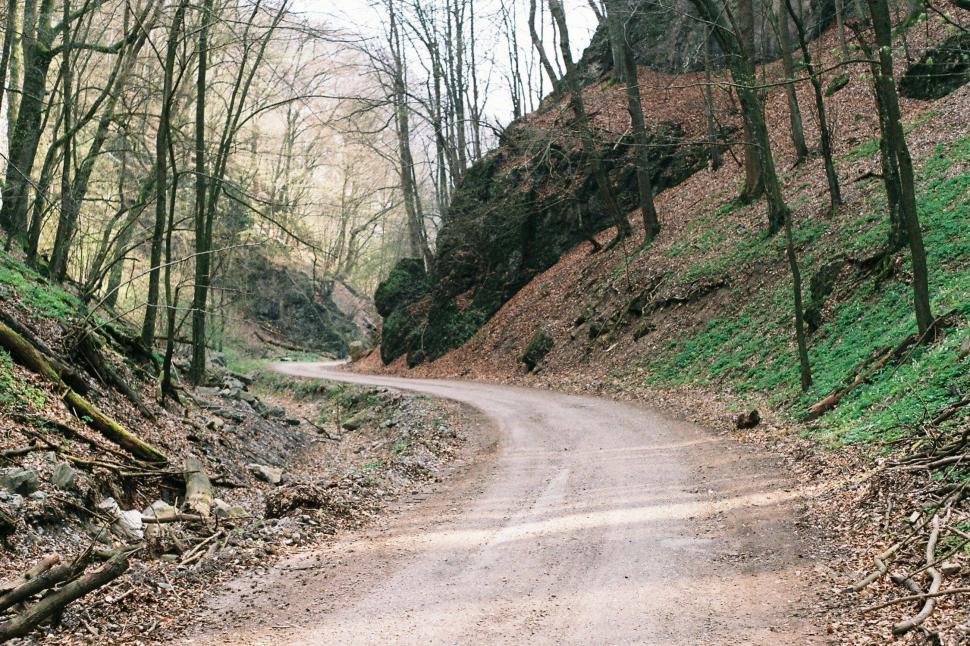 Free Image of Dirt Road Through Wooded Area 