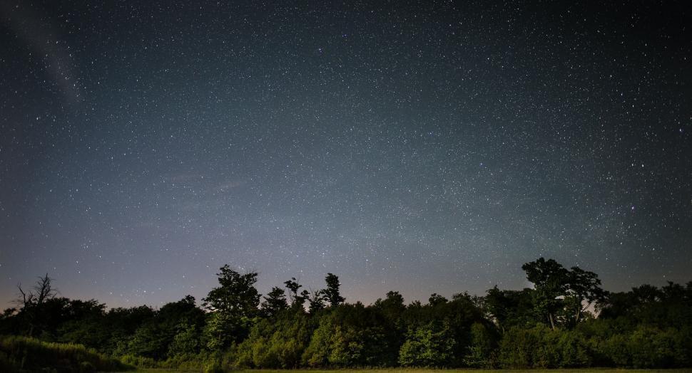 Free Image of Field With Trees Under Starry Sky 