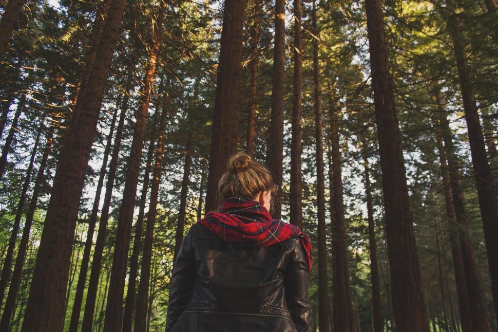 Free Image of Person Standing in the Middle of Forest 