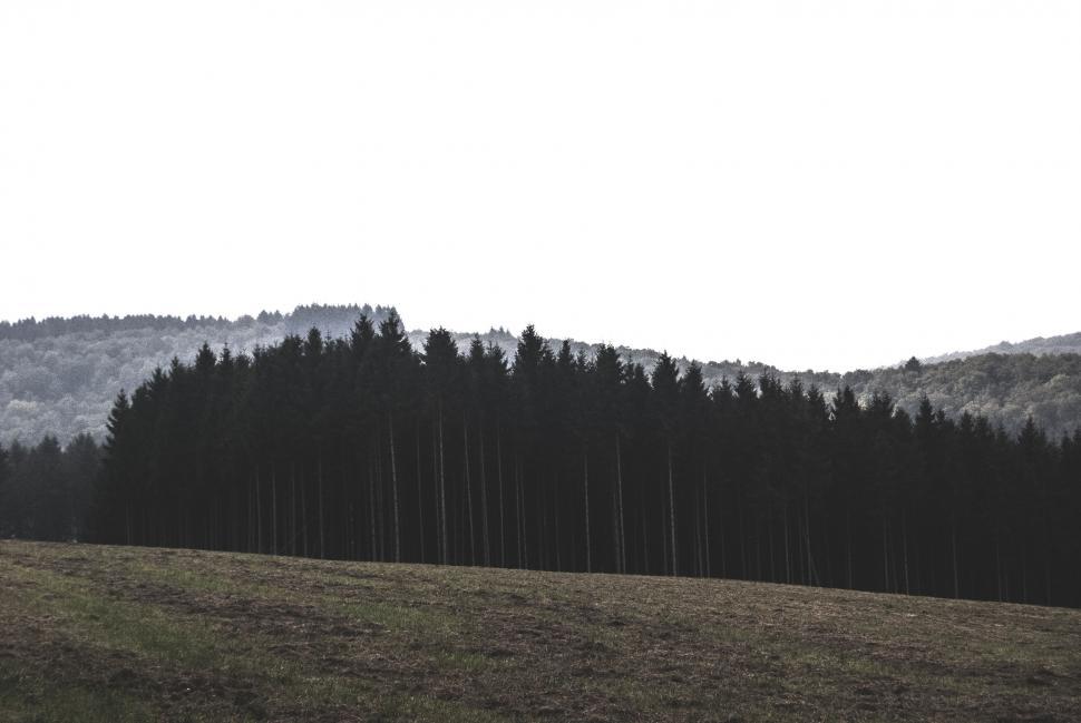 Free Image of Field With Trees and Mountains in the Background 