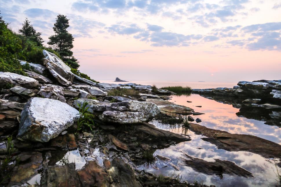 Free Image of Rocky Shore With Body of Water Surrounded by Trees 