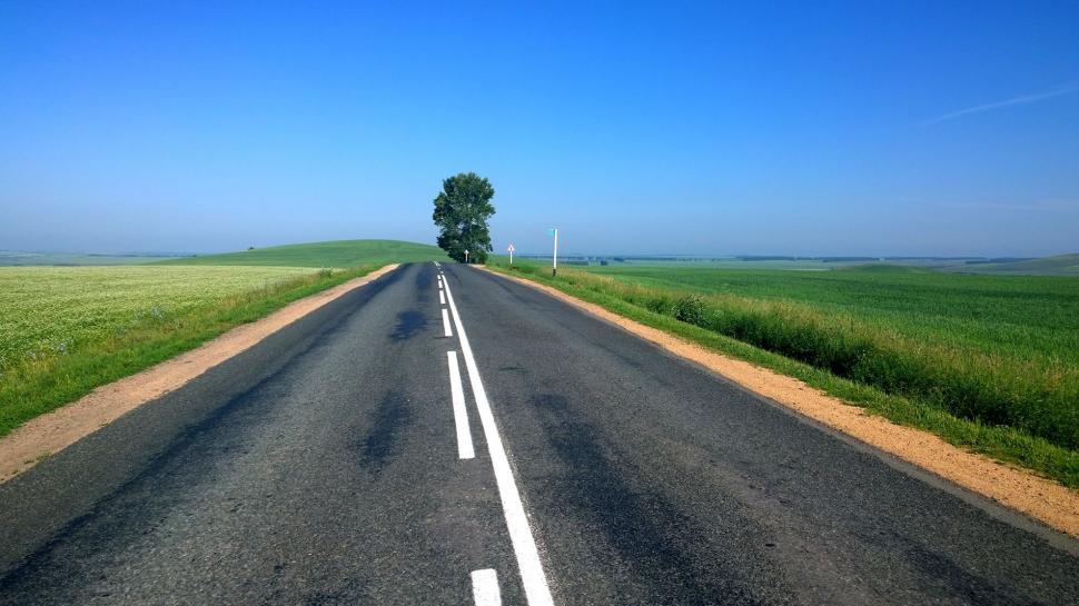 Free Image of Lone Tree Beside an Empty Road 