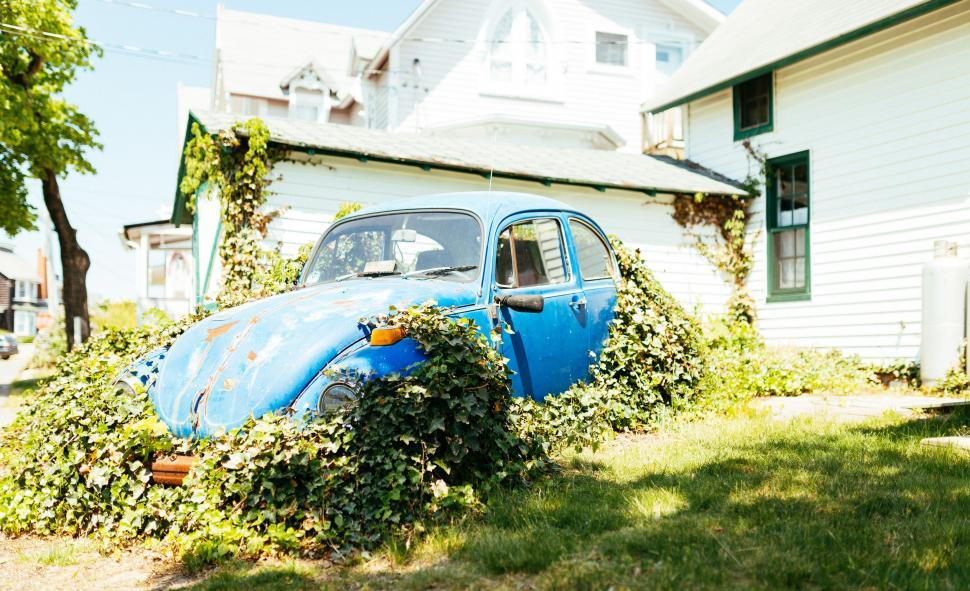 Free Image of Old Blue Car Covered in Vines Outside House 
