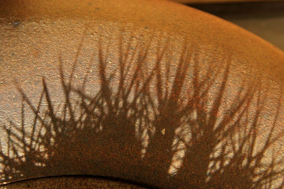 Free Image of Shadow of cactus spines 