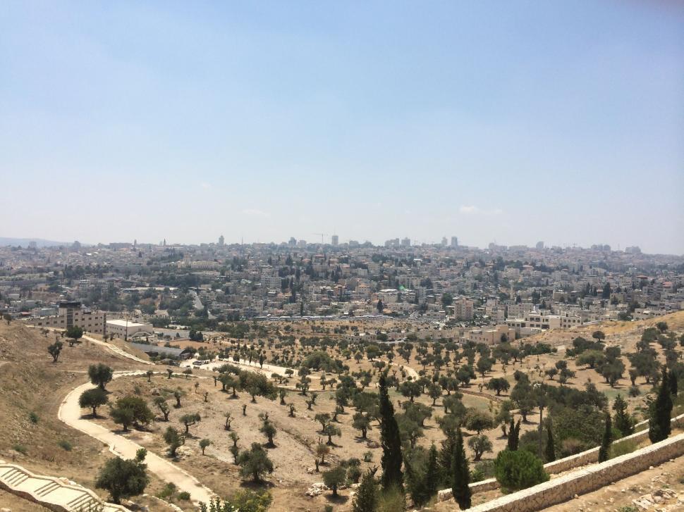 Free Image of City View From Hilltop 