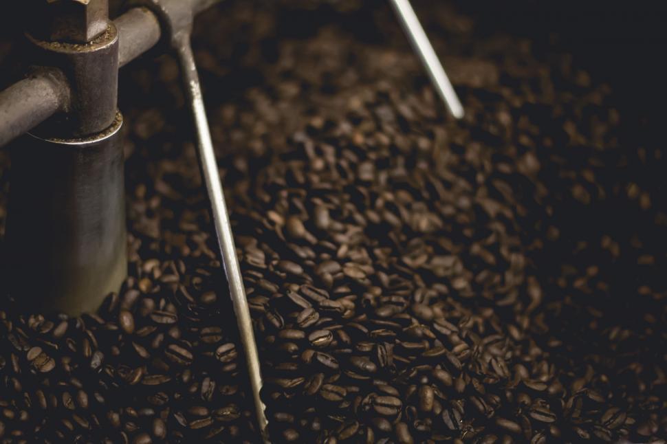 Free Image of Close Up of Coffee Beans 