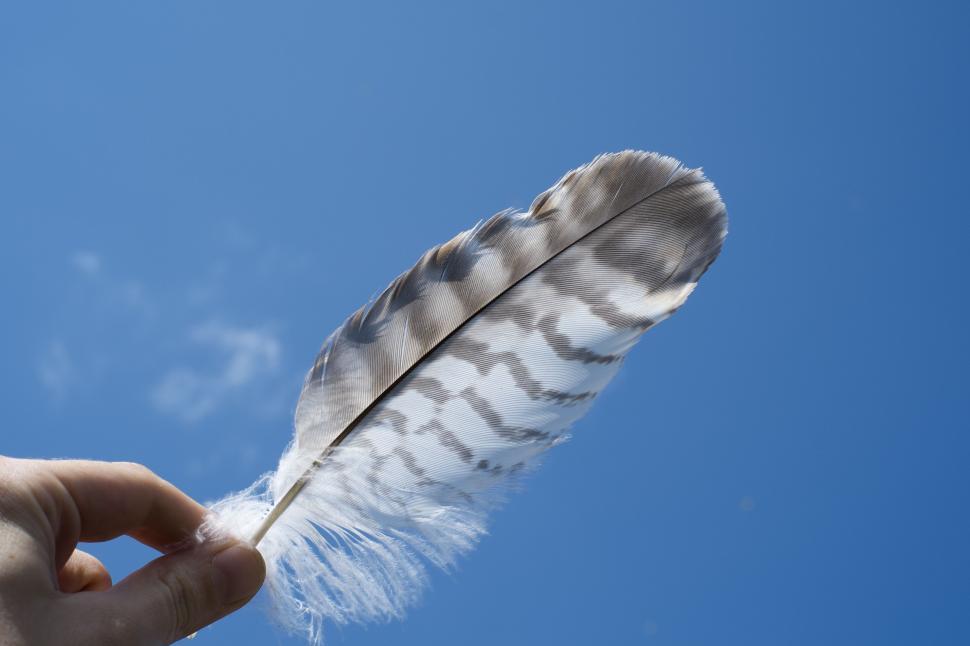 Free Image of Hand Holding White Feather in Sky 