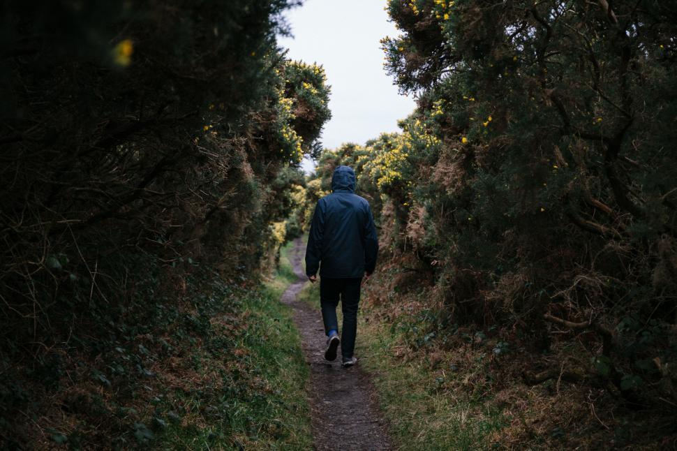 Free Image of Person in Blue Jacket Walking Down Path 