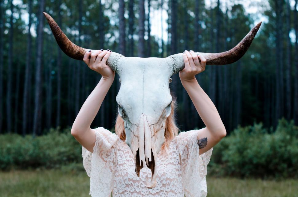 Free Image of Woman Holding Cows Head 