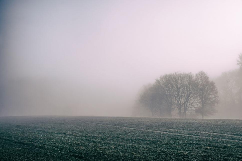 Free Image of Foggy Field With Distant Trees 