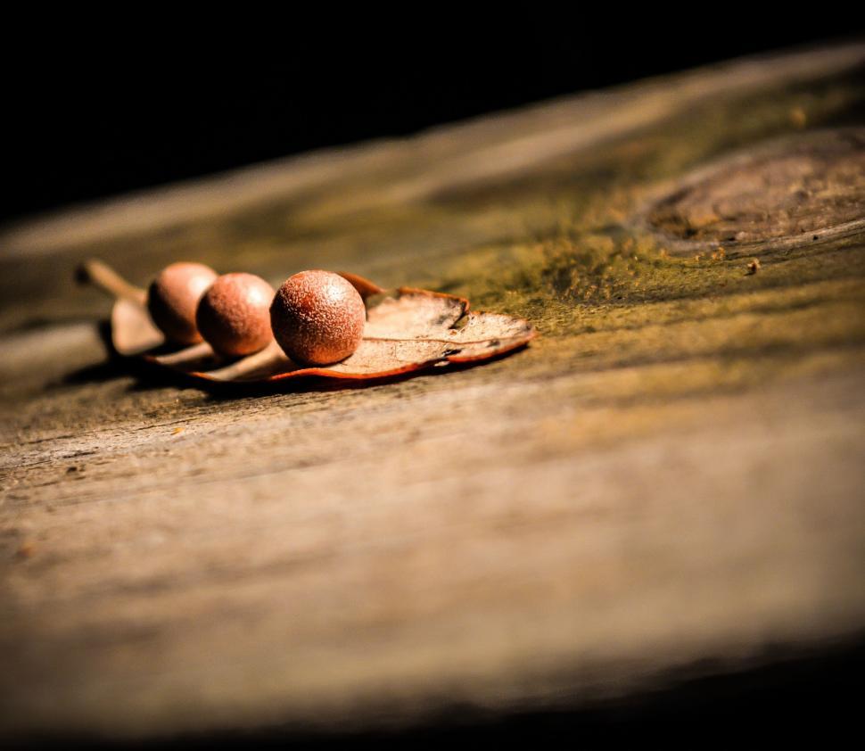 Free Image of Three Eggs on Wooden Table 