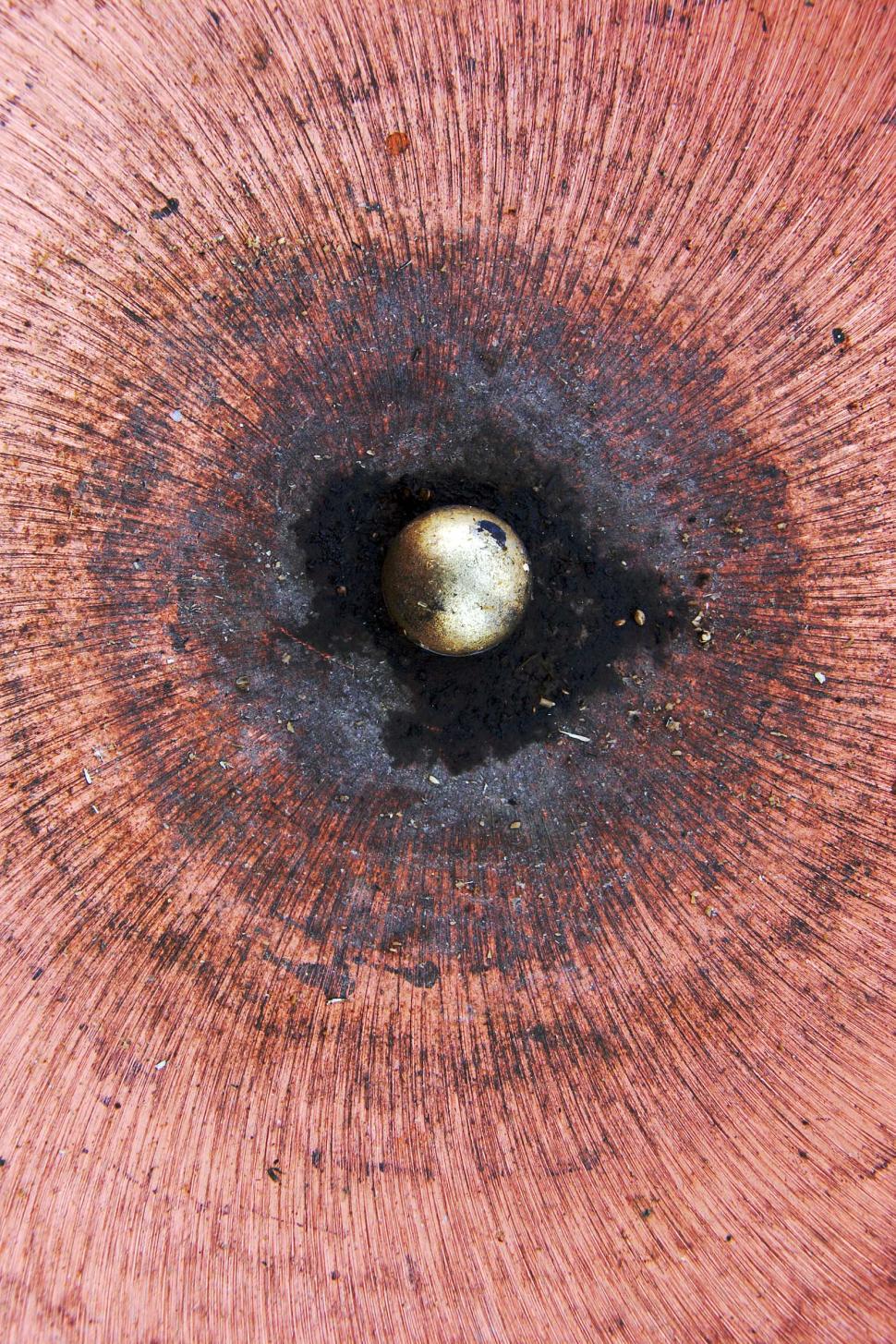 Free Image of Outdoor Copper birdbath detail 