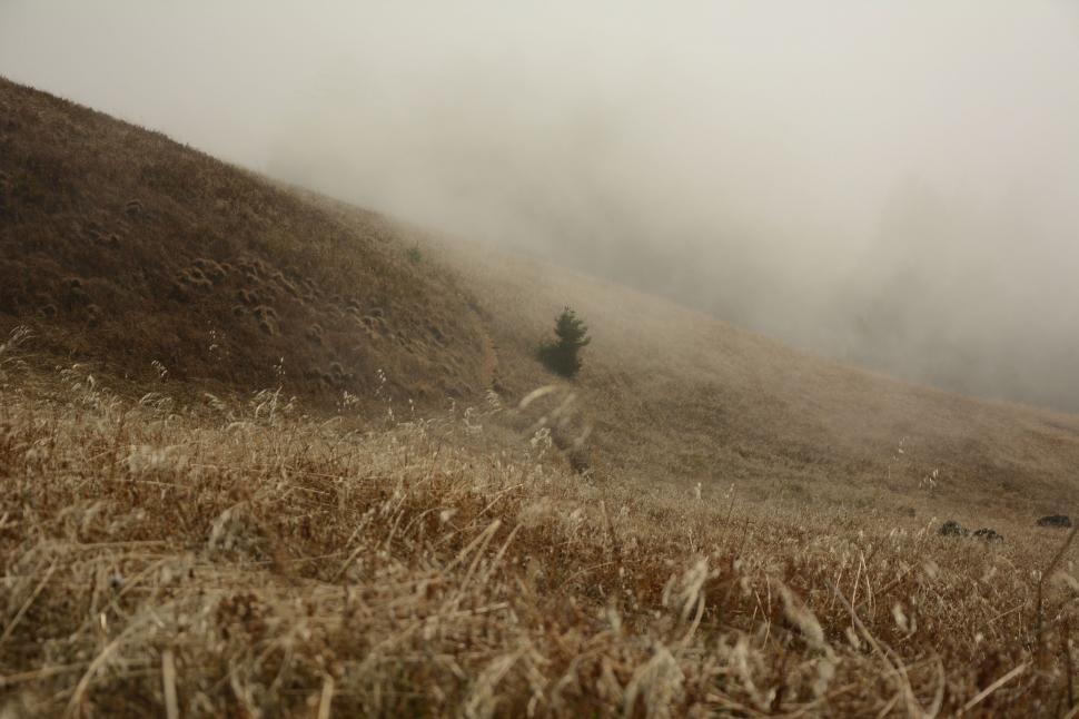 Free Image of Person Walking Up a Hill 