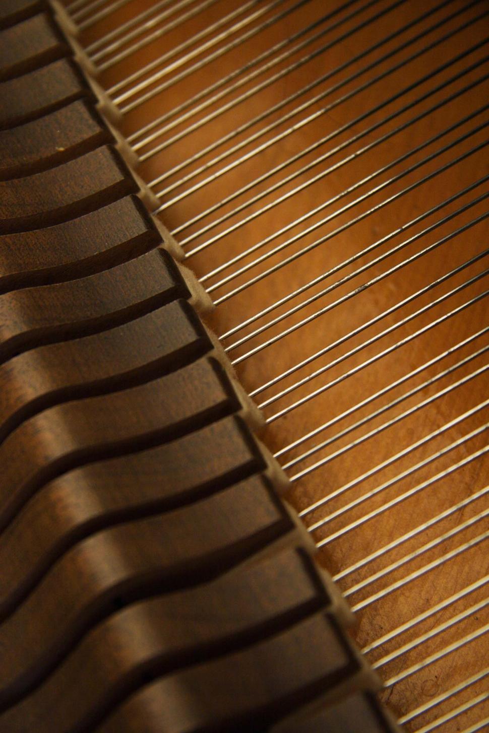Free Image of Strings and hammer inside a piano 