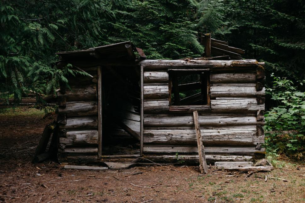 Free Image of Open Door Log Cabin in Forest 