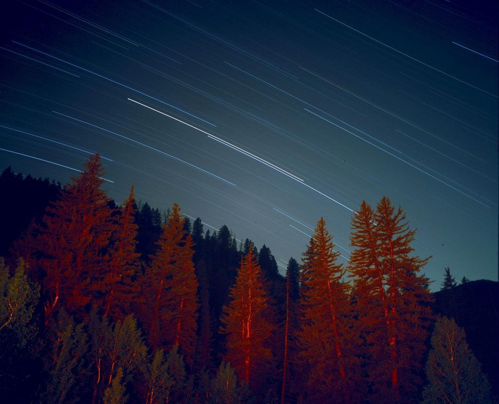 Free Image of Night Sky With Stars and Line of Trees 