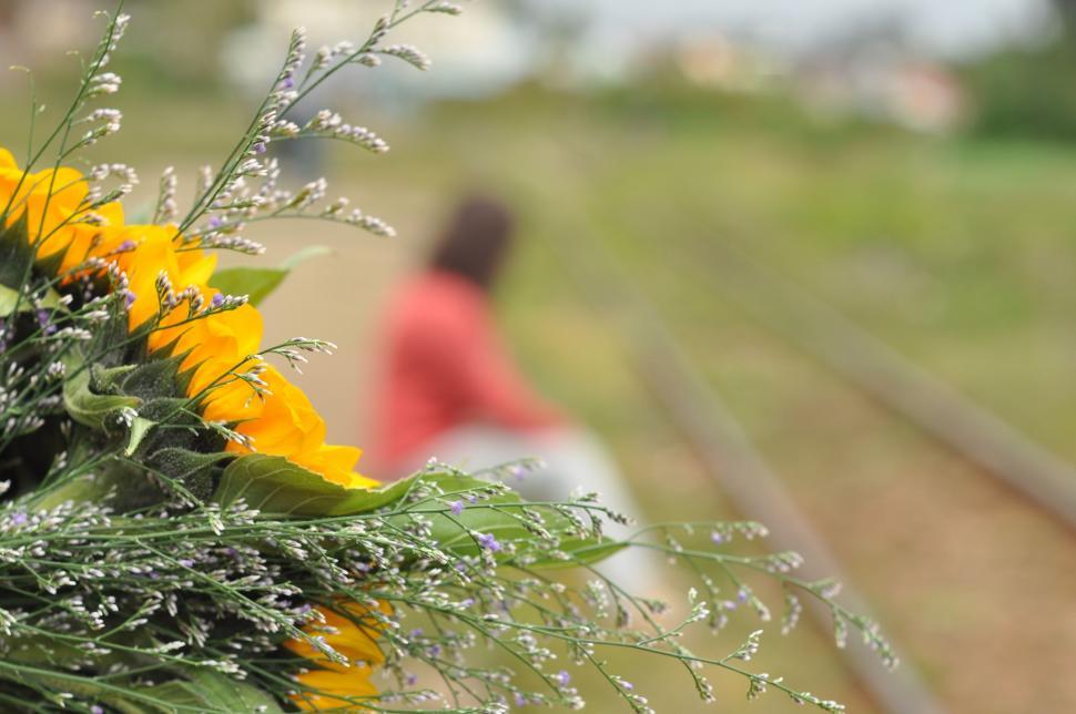 Free Image of Sunflower Bouquet by Train Tracks 